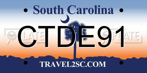 CTDE91 South Carolina License Plate