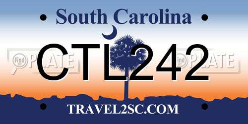 CTL242 South Carolina License Plate
