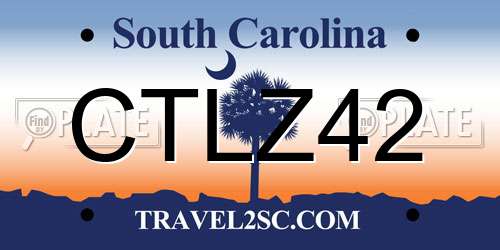 CTLZ42 South Carolina License Plate