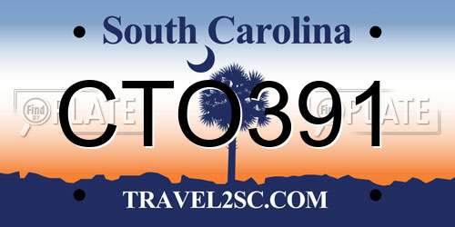 CTO391 South Carolina License Plate