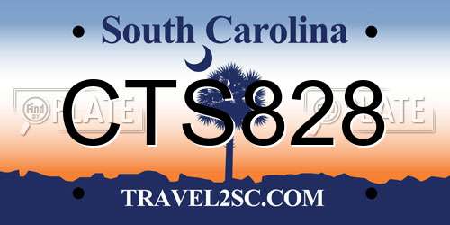 CTS828 South Carolina License Plate