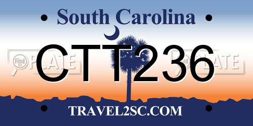 CTT236 South Carolina License Plate