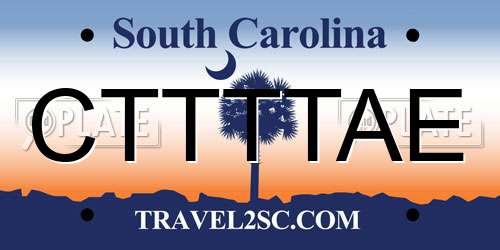 CTTTTAE South Carolina License Plate