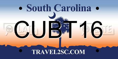 CUBT16 South Carolina License Plate