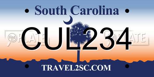 CUL234 South Carolina License Plate