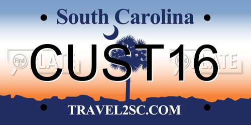 CUST16 South Carolina License Plate