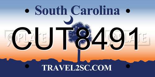 CUT8491 South Carolina License Plate