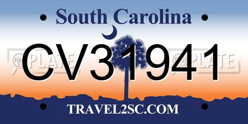 CV31941 South Carolina License Plate