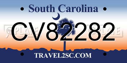 CV82282 South Carolina License Plate