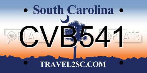CVB541 South Carolina License Plate