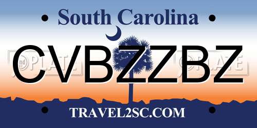 CVBZZBZ South Carolina License Plate