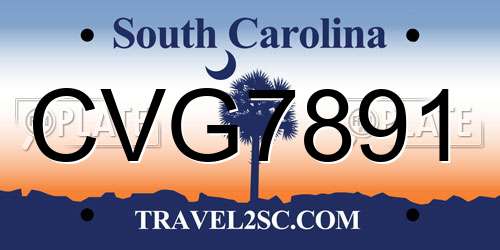CVG7891 South Carolina License Plate
