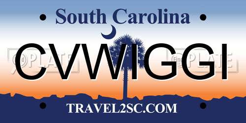 CVWIGGI South Carolina License Plate