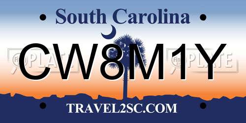 CW8M1Y South Carolina License Plate