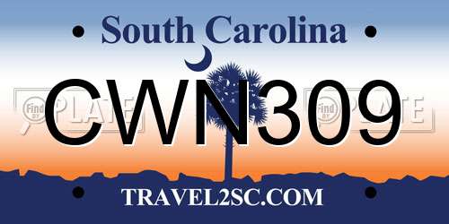 CWN309 South Carolina License Plate