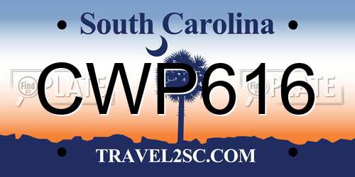 CWP616 South Carolina License Plate