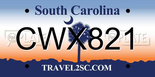 CWX821 South Carolina License Plate