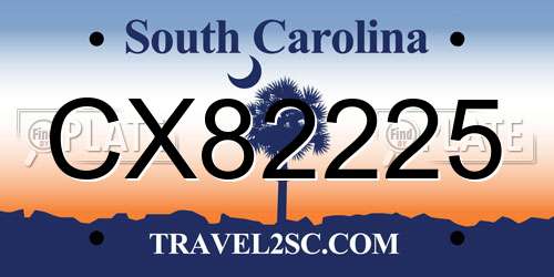 CX82225 South Carolina License Plate