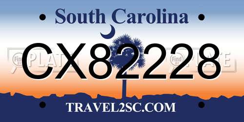 CX82228 South Carolina License Plate