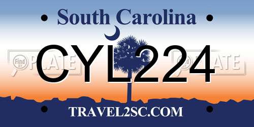 CYL224 South Carolina License Plate