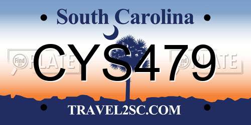 CYS479 South Carolina License Plate