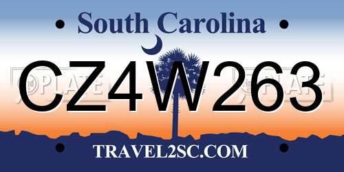 CZ4W263 South Carolina License Plate