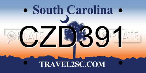 CZD391 South Carolina License Plate