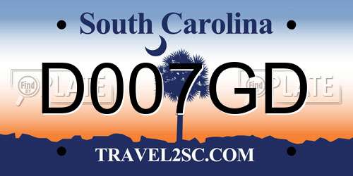 D007GD South Carolina License Plate
