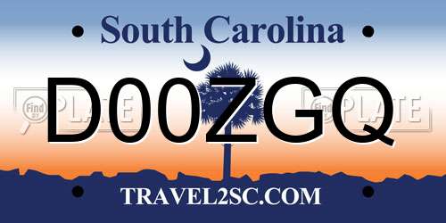 D00ZGQ South Carolina License Plate