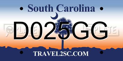 D025GG South Carolina License Plate