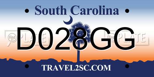 D028GG South Carolina License Plate