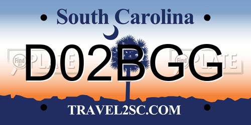 D02BGG South Carolina License Plate