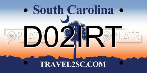 D02IRT South Carolina License Plate
