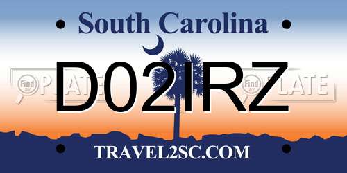 D02IRZ South Carolina License Plate