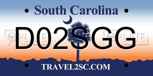 D02SGG South Carolina License Plate