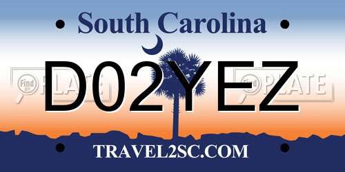 D02YEZ South Carolina License Plate