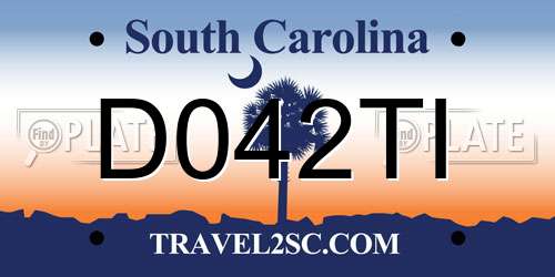 D042TI South Carolina License Plate
