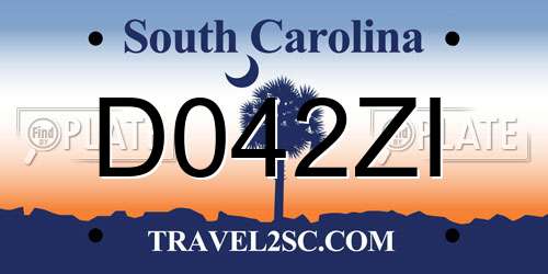 D042ZI South Carolina License Plate