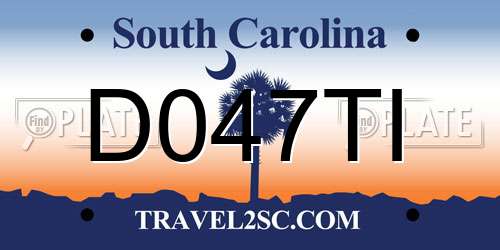 D047TI South Carolina License Plate
