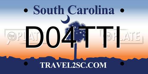 D04TTI South Carolina License Plate