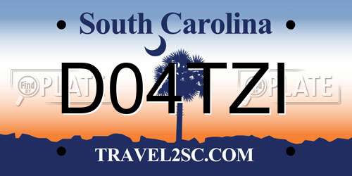 D04TZI South Carolina License Plate