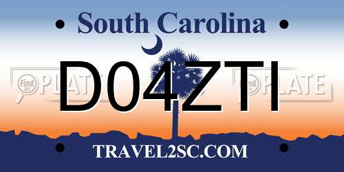 D04ZTI South Carolina License Plate