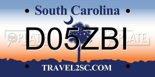 D05ZBI South Carolina License Plate