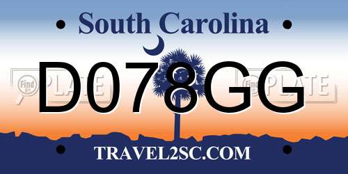 D078GG South Carolina License Plate
