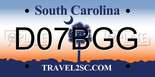 D07BGG South Carolina License Plate