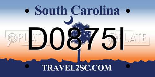D0875I South Carolina License Plate