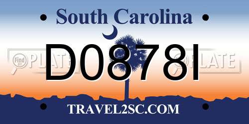 D0878I South Carolina License Plate