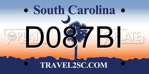 D087BI South Carolina License Plate
