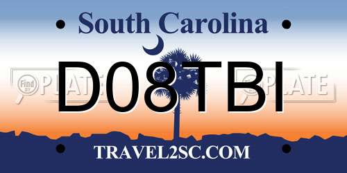D08TBI South Carolina License Plate