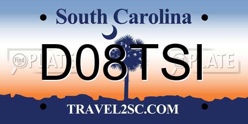 D08TSI South Carolina License Plate